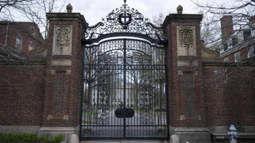 Гарвардский университет подал в суд на администрацию Трампа