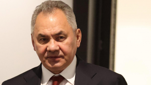 Шойгу: Ядерный зонтик России защищает страны ОДКБ