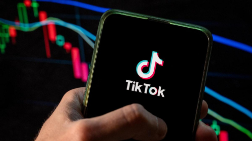 Возможность приобретения TikTok Илоном Маском не исключил Трамп